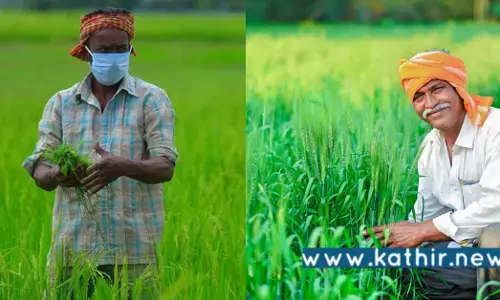 713 லட்சம் மெட்ரிக் டன் நெல் கொள்முதல்: வங்கிக் கணக்கில் நேரடியாக பயனடைந்த 1 கோடி விவசாயிகள்!