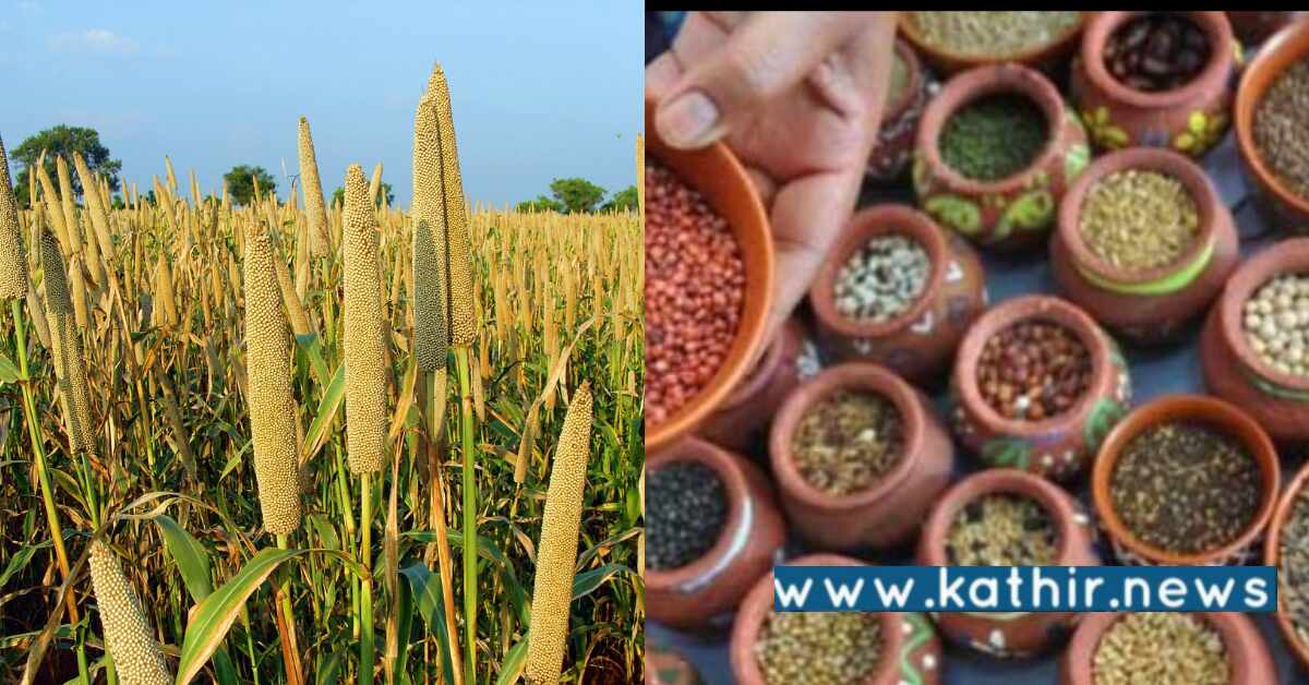 சிறுதானிய குறித்த விழிப்புணர்வை மக்களிடம் ஏற்படுத்தும் தமிழக அரசு: பிரதமர் மோடியின் அறிவுரையின்படி நடக்கும் மாற்றம்!