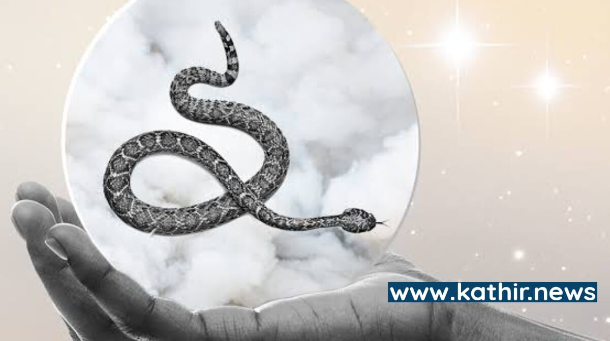 கனவுகளில் பாம்புகளை கண்டால் அவை நமக்கு உணர்த்துவது என்ன? ஆச்சரிய தகவல்