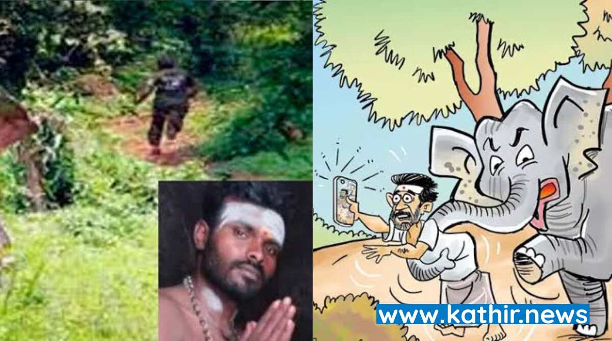 'செல்பி' ஆசையால் யானையிடம் உயிரைப் பறிகொடுத்த பூசாரி