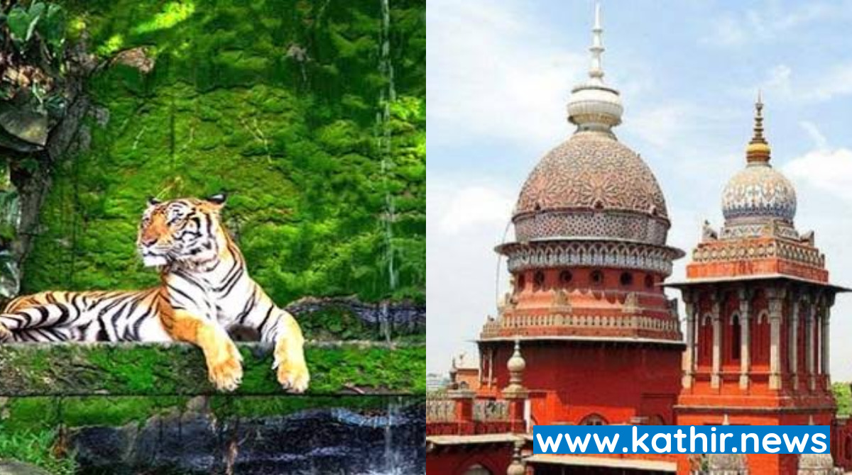 வேட்டைக்காரர்கள் மீது கடும் நடவடிக்கை எடுக்காவிட்டால் தமிழ்நாட்டில் புலிகள் இனமே அழிந்துவிடும் - எச்சரித்த நீதிமன்றம்!