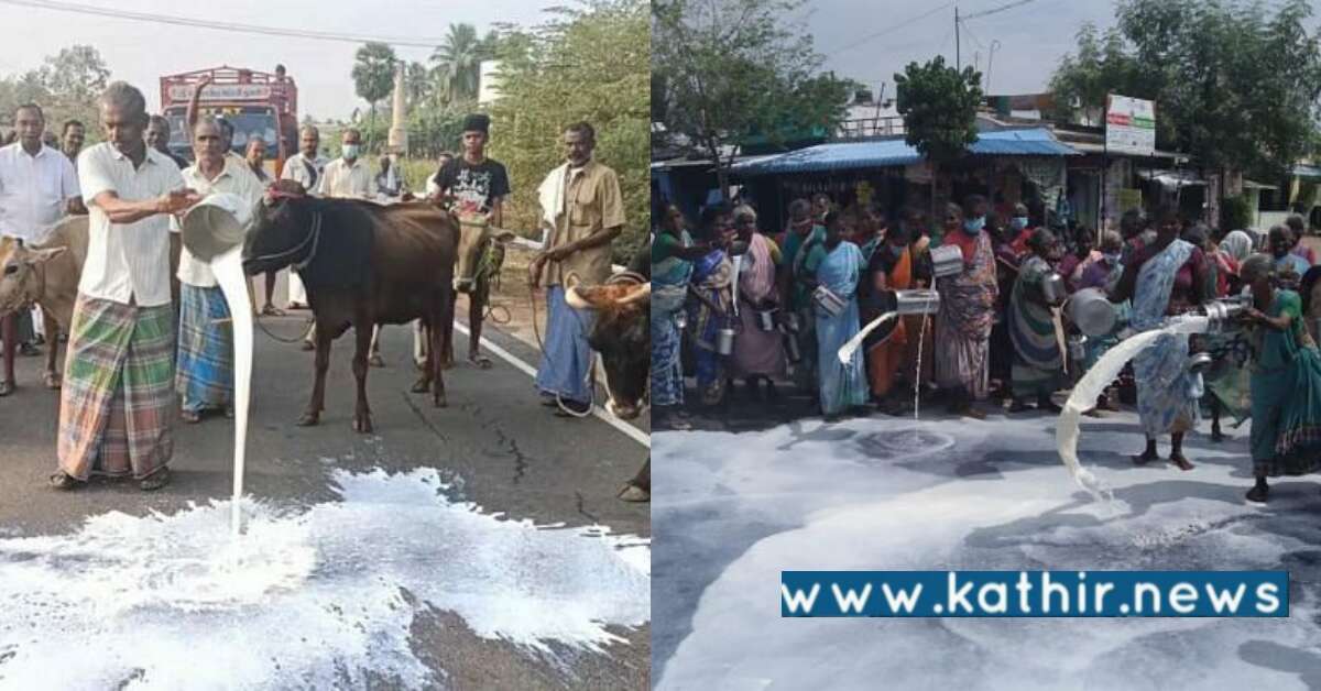 தி.மு.கவை கண்டித்து பாலை தரையில் ஊற்றி பெண்கள் போராட்டம்: கவனத்தில் எடுக்குமா தமிழக அரசு?