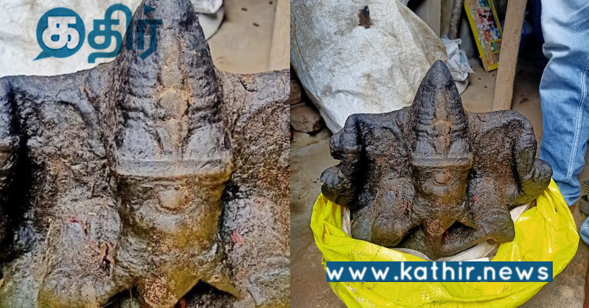 சிலை திருட்டு... ஈடுபட்ட அரசு அதிகாரி... நடவடிக்கை எடுத்த சிலை கடத்தல் தடுப்பு பிரிவு போலீசார்!
