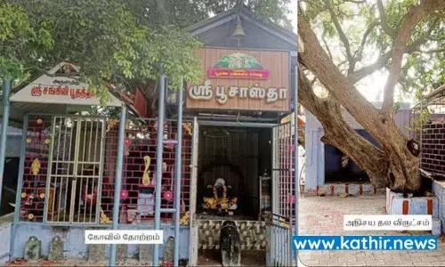 பங்குனி உத்திரத்தில் மட்டும் பூ பூக்கும் அதிசய தல விருட்சம்!