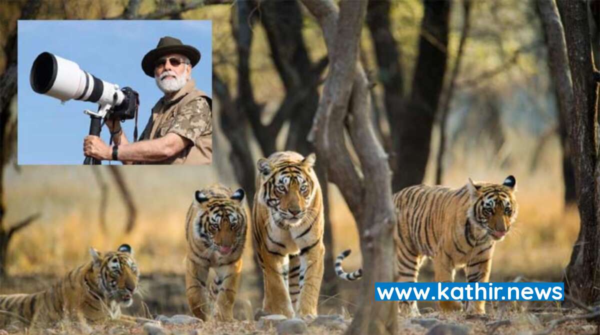 அடுத்த 25 ஆண்டுகளுக்கான் 'அம்ரிக் கால புலிகள் விஷன்' - பிரதமர் மோடியின் தொலைநோக்கு திட்டம் என்ன?