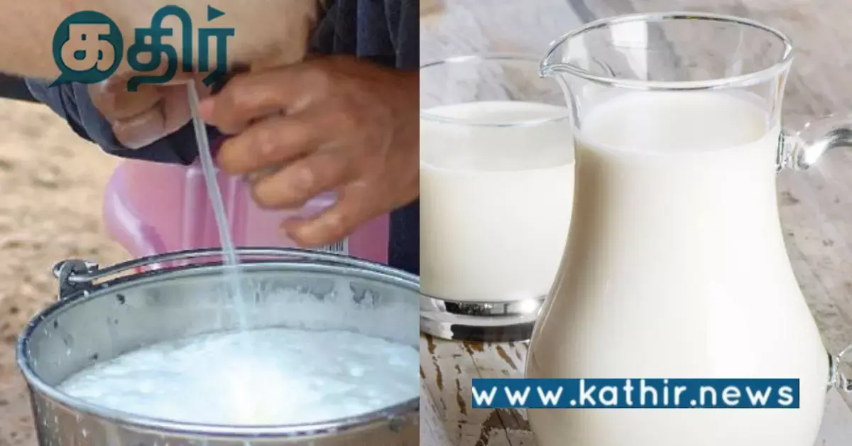 இந்தியா பால் பொருட்கள் இறக்குமதி செய்கிறதா? மத்திய அமைச்சர் கொடுத்த பதில்!