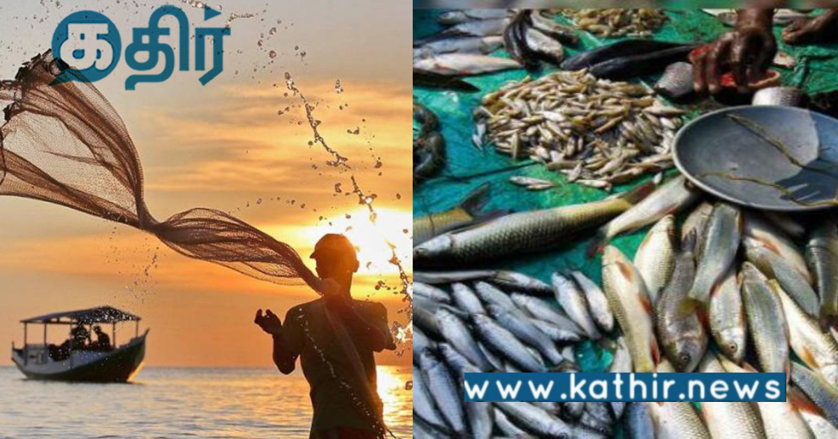 புதுச்சேரி: மீன்பிடி தடை கால நிவாரண உதவித்தொகை... 6500 ரூபாயாக உயர்வு...