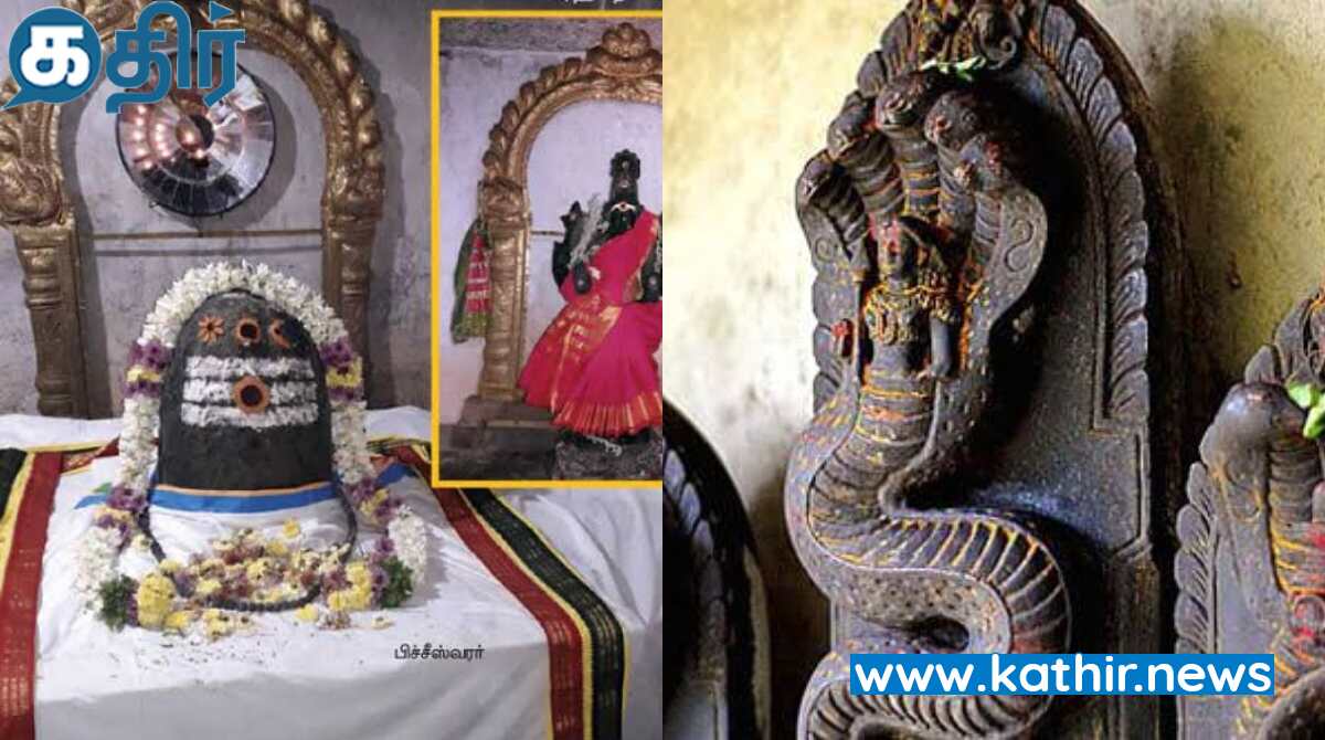 சர்ப்ப தோஷங்களை போக்கும் - தச்சூர் பிக்சீஸ்வரர்