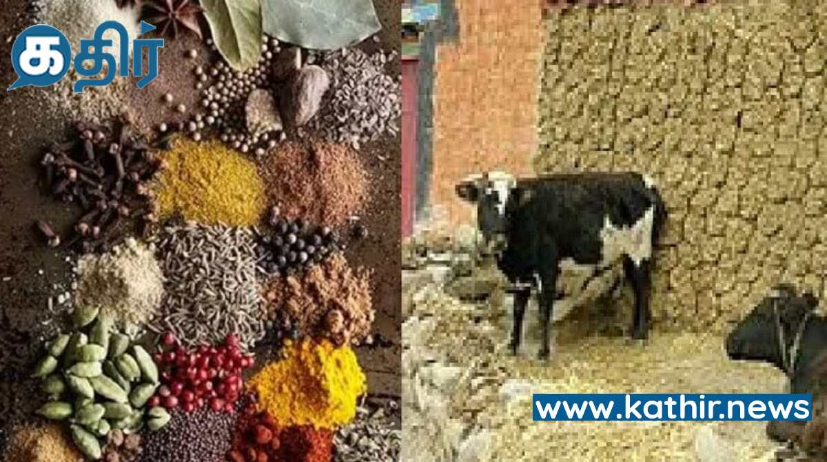 இந்திய மசாலா பொருள்களில் பசுவின் சாணமும் சிறுநீரும் கலந்திருப்பதாக அவதூறு வீடியோ - பறந்த ஹைகோர்ட் உத்தரவு!