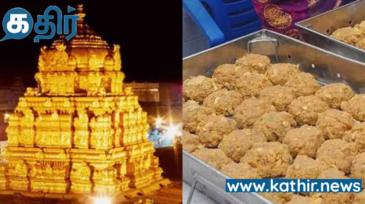 எல்லோருக்கும் படி அளக்கும் ஏழுமலையான் கோவிலில் கூட இப்படி ஒரு திருட்டு மோசடியா?