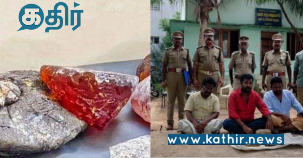 தமிழகத்திலிருந்து கடத்தப்பட்ட திமிங்கல எச்சம்.. அதன் மதிப்பு 31.67 கோடி..