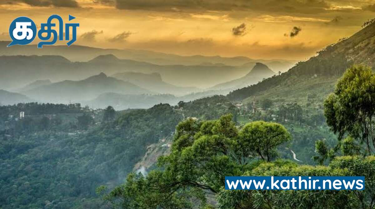 தண்ணீரே இல்லாமல் தாவரங்கள் வாழ முடியுமா? புதிதாக 62 தாவரங்கள் கண்டுபிடிப்பு