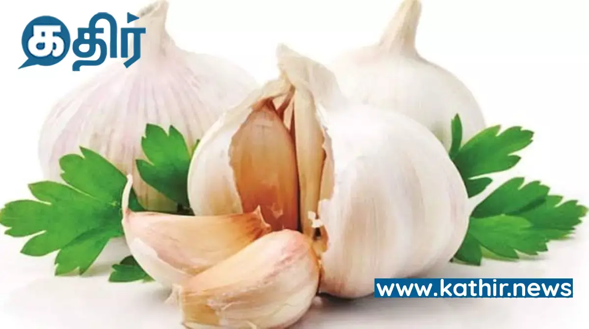 தக்காளியை தொடர்ந்து விலையில் எகிறிக் குதித்த பூண்டு- ஒரு கிலோ ரூபாய் 200