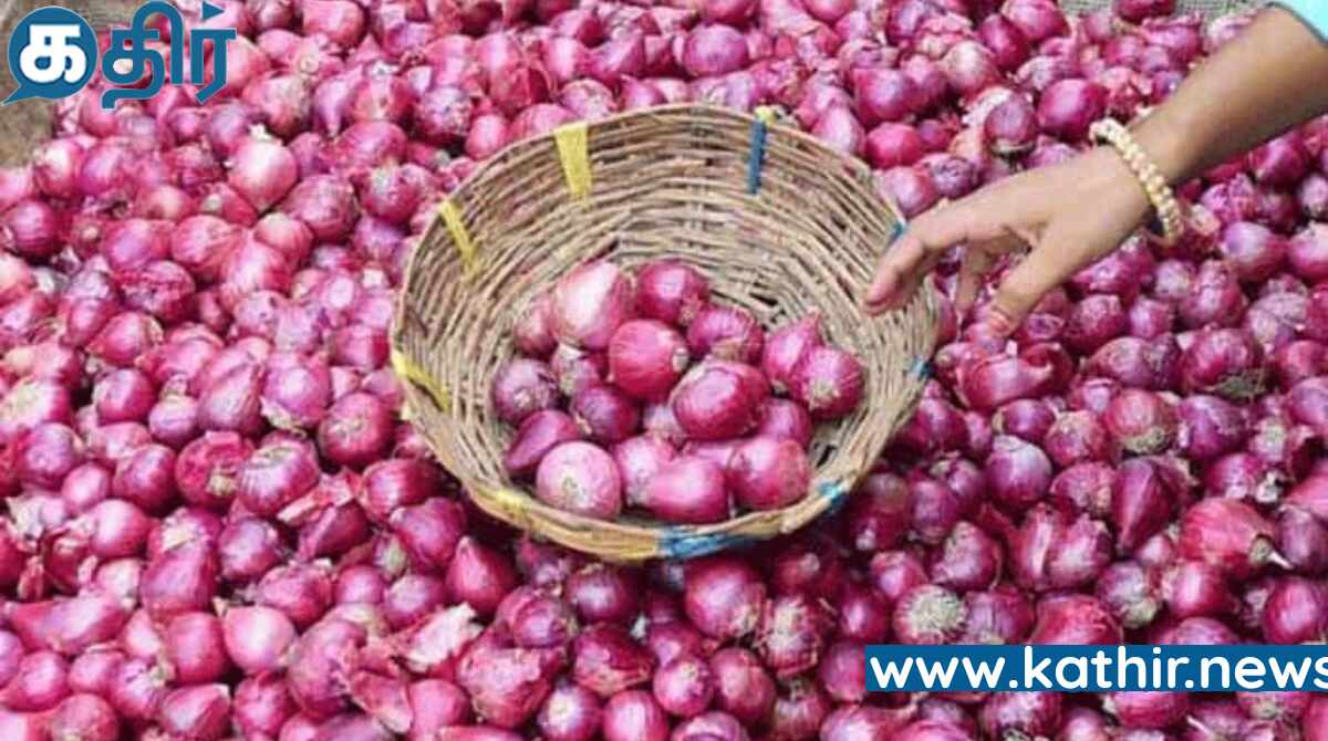 தக்காளியைத் தொடர்ந்து உயரவிருக்கும் வெங்காயத்தின் விலையைக் கட்டுப்படுத்த மத்திய அரசு எடுத்த நடவடிக்கை!