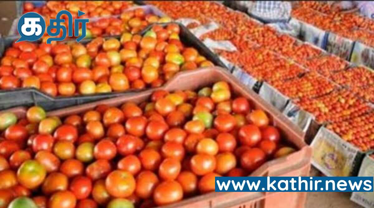 சரசரவென சரிந்த தக்காளி விலை - ஏன் தெரியுமா?