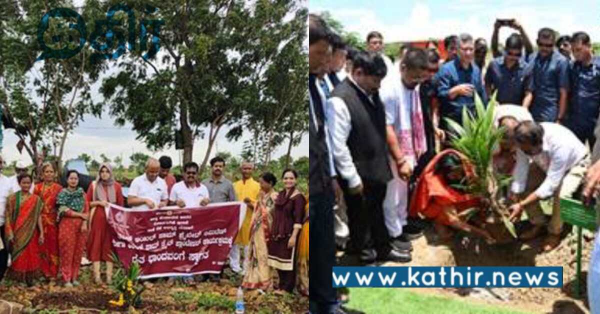 மெகா எண்ணெய் பனை மரம் நடும் திட்டம்.. விவசாயிகளுக்கான அரசாக மாஸ் காட்டும் மோடி அரசு..