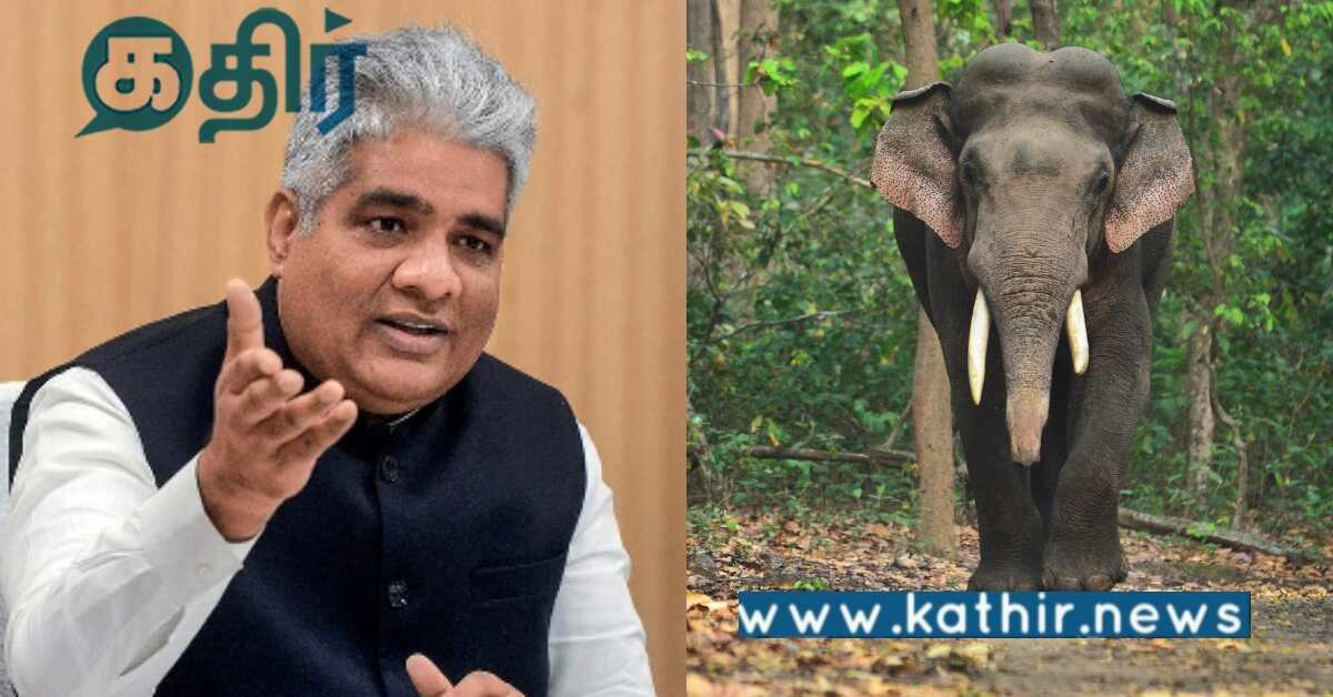 ஆசிய யானைகளை அதிக எண்ணிக்கையில் கொண்டுள்ள ஒரே நாடு இந்தியா.. எப்படின்னு தெரியுமா?