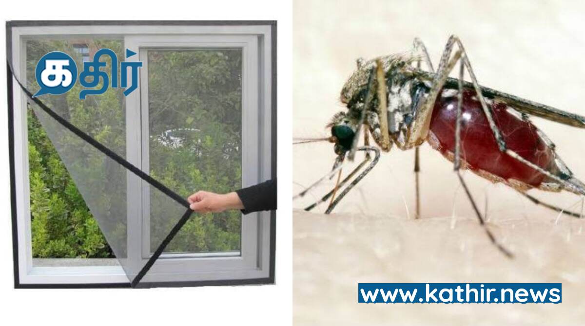 கொசு தொல்லையால் அதிகமாக அவதிப்படுகிறீர்களா? இதைப் படிங்க மக்களே!