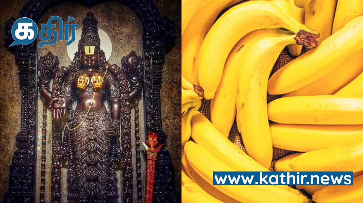 இறைவனின் கண்பார்வையால் விளைந்த வாழை- 'நேந்திரம்' :புராணம் கூறும் கதை என்ன?