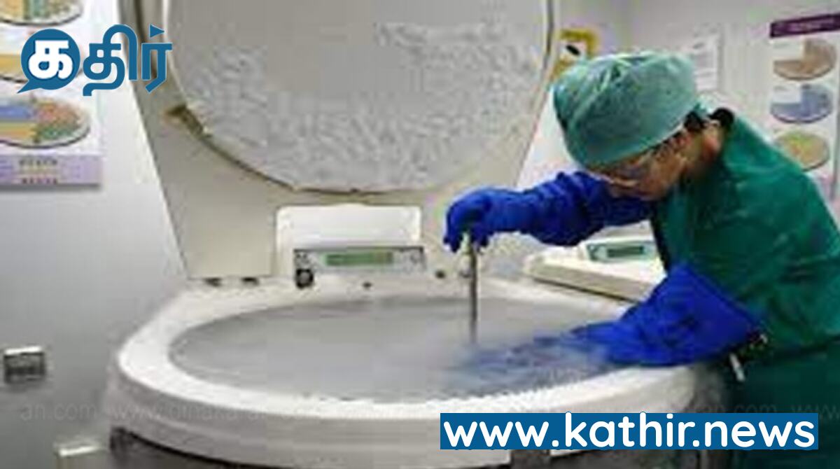 கருமுட்டை விந்தணு இல்லாமல் செயற்கை கரு மாதிரி உருவாக்கம்- விஞ்ஞானிகள் சாதனை