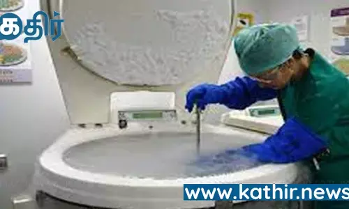 கருமுட்டை விந்தணு இல்லாமல் செயற்கை கரு மாதிரி உருவாக்கம்- விஞ்ஞானிகள் சாதனை