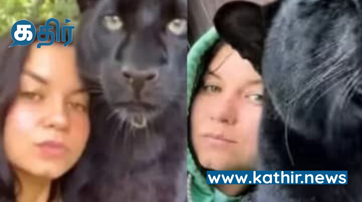 பூனை குட்டி என்று நினைத்து கருஞ்சிறுத்தை குட்டியை வளர்த்து வந்த பெண்- விஷயம் அறிந்தும் பாசத்தால் விடவில்லை