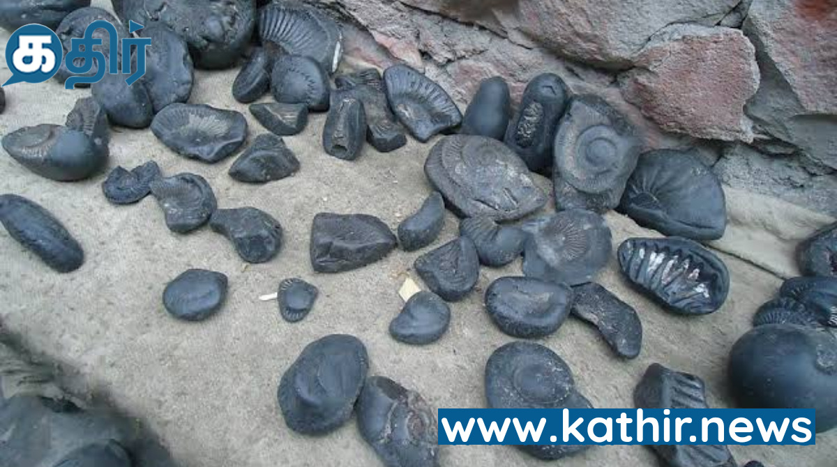 விஷ்ணு பகவான் உருவாக்கும் சாளக்கிராமம்!