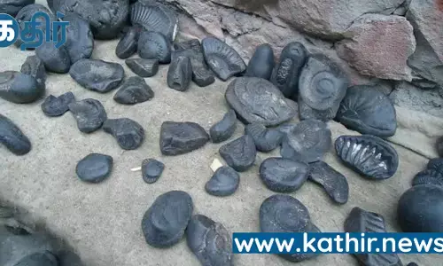 விஷ்ணு பகவான் உருவாக்கும் சாளக்கிராமம்! விஷ்ணு பகவான் உருவாக்கும் சாளக்கிராமம்!