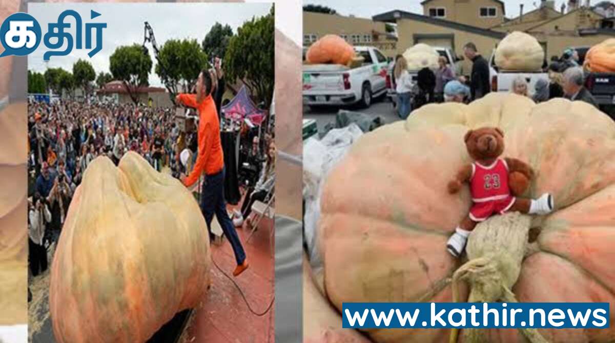 கின்னஸ் சாதனை படைத்த பூசணிக்காய்! எப்படி இது சாத்தியம்?