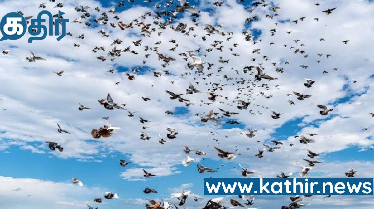 இப்படியும் கூட ஒரு ஏற்றுமதி பொருளா?