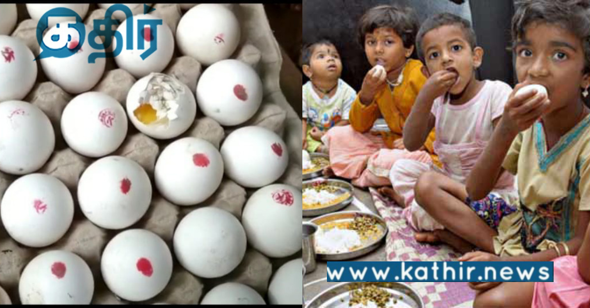 அரசு பள்ளி மாணவர்களுக்கு வழங்கும் முட்டைகள் விற்பனையா.. தமிழக அரசு நடவடிக்கை எடுக்குமா..