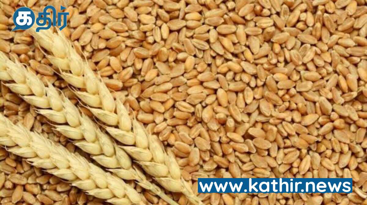மத்திய அரசின் ஆன்லைன் ஏலத்தில்  2.8 லட்சம் டன் கோதுமை விற்பனை - சில்லறை வியாபாரிகளுக்கு பலன்!