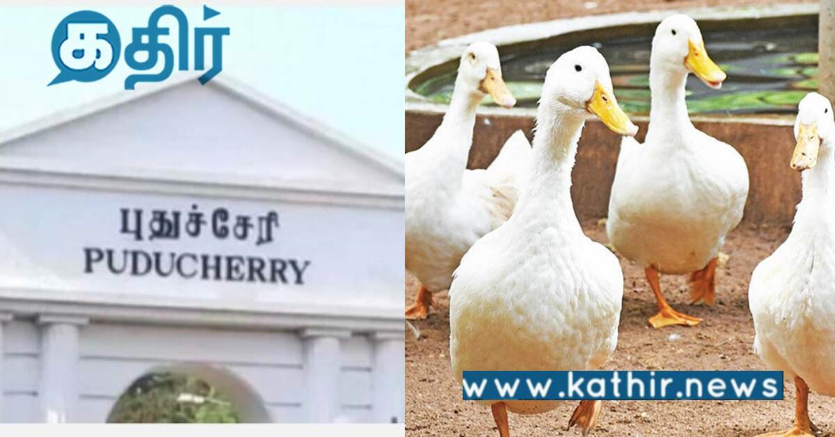 புதுச்சேரி: பசுமை திடலாக ஜொலிக்கும் அரசு கல்லூரி..