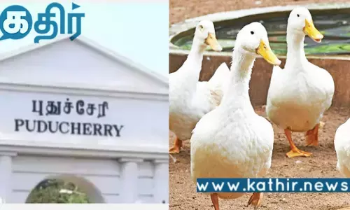 புதுச்சேரி: பசுமை திடலாக ஜொலிக்கும் அரசு கல்லூரி..