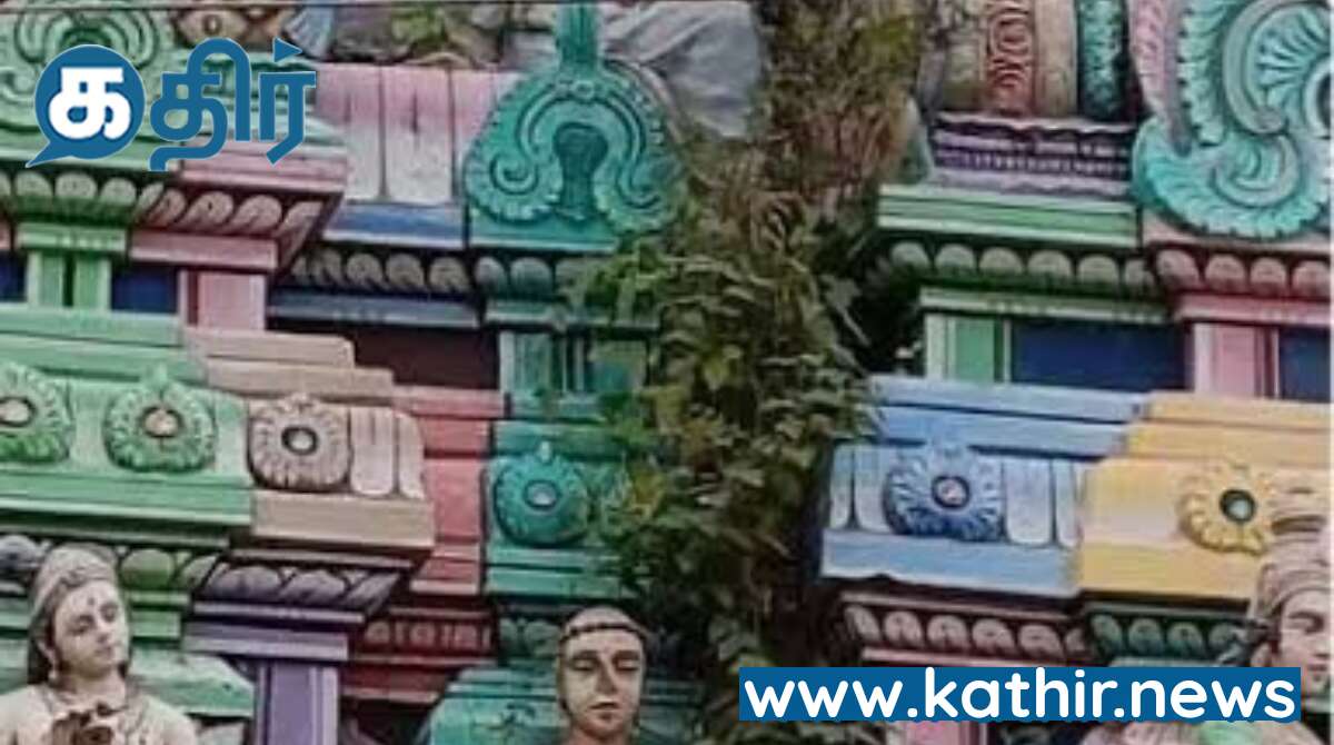 திருவாரூர் தியாகராஜர் கோவில் கோபுரங்களில் செடிகள் முளைத்து சிதையும் சிற்பங்கள்- நடவடிக்கை எடுக்க பக்தர்கள் வலியுறுத்தல்!