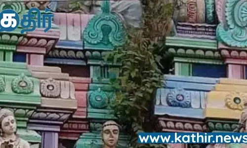 திருவாரூர் தியாகராஜர் கோவில் கோபுரங்களில் செடிகள் முளைத்து சிதையும் சிற்பங்கள்- நடவடிக்கை எடுக்க பக்தர்கள் வலியுறுத்தல்!