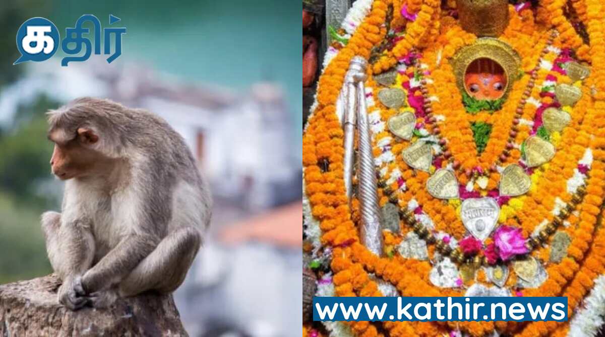 அயோத்தியில் தொடர்ந்து நடந்த அற்புதங்கள்- ஹனுமான் கர்ஹி கோவிலில் வெடிகுண்டு வெடிப்பதை தடுத்த குரங்கு!