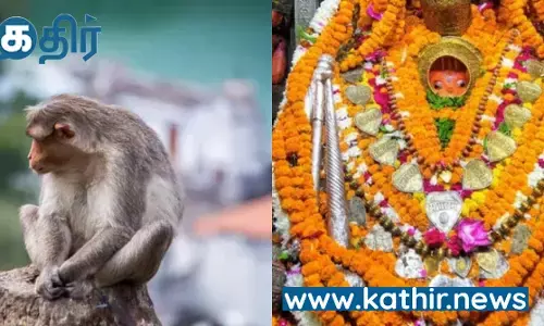 அயோத்தியில் தொடர்ந்து நடந்த அற்புதங்கள்- ஹனுமான் கர்ஹி கோவிலில் வெடிகுண்டு வெடிப்பதை தடுத்த குரங்கு!