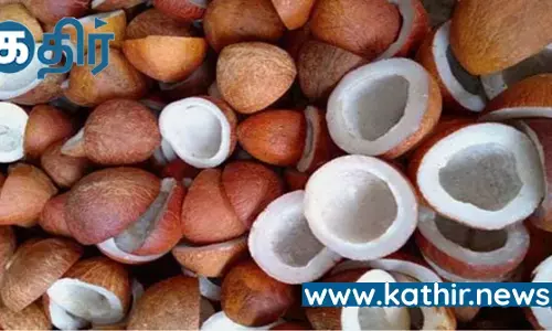 கொப்பரை தேங்காய் குறைந்தபட்ச ஆதரவு விலை உயர்வு - மத்திய மந்திரி சபை முடிவு!