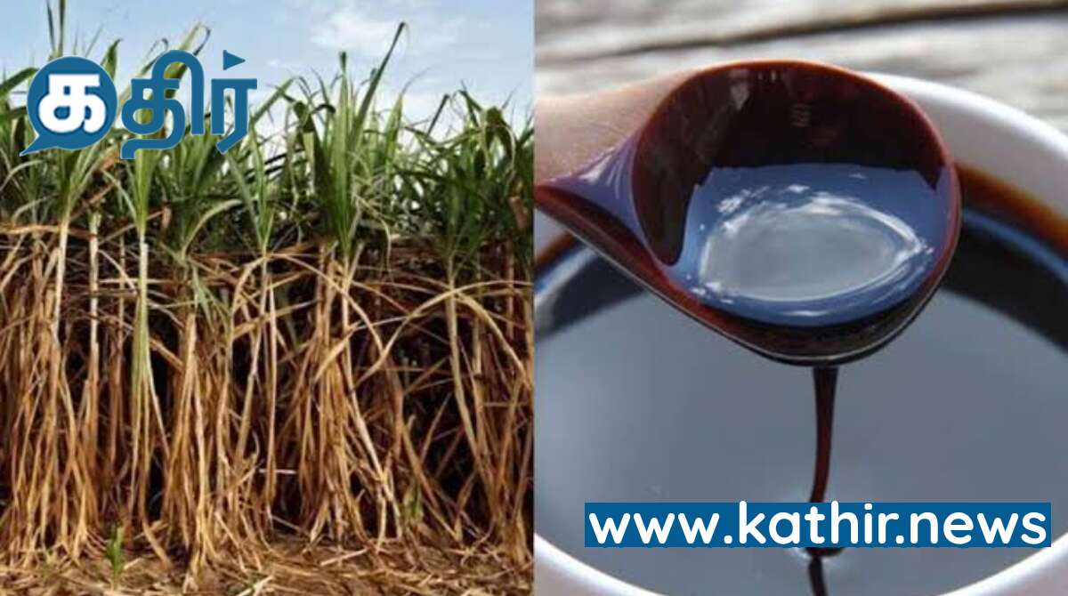 உள்நாட்டு வரத்தை அதிகரிக்க வெல்லப்பாகு மீது 50 சதவீத ஏற்றுமதிவரி - மத்திய அரசு நடவடிக்கை!