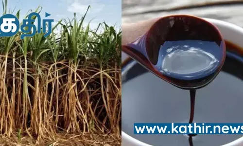 உள்நாட்டு வரத்தை அதிகரிக்க வெல்லப்பாகு மீது 50 சதவீத ஏற்றுமதிவரி - மத்திய அரசு நடவடிக்கை!