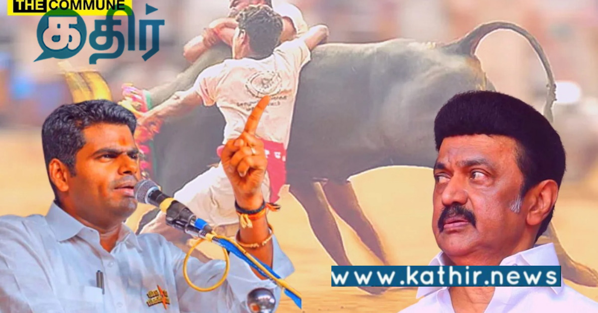 ஜல்லிக்கட்டு தொடர்பாக தி.மு.கவின் பொய்கள்.. அண்ணாமலை குற்றச்சாட்டு..