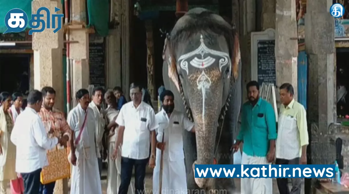 சிறப்பு விருதை வென்ற கும்பகோணம் ஆதிகும்பேஸ்வரர் கோவில் யானை மங்கலம்!