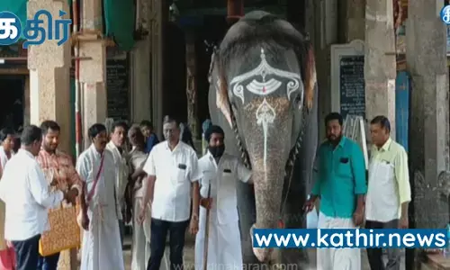 சிறப்பு விருதை வென்ற கும்பகோணம் ஆதிகும்பேஸ்வரர் கோவில் யானை மங்கலம்!