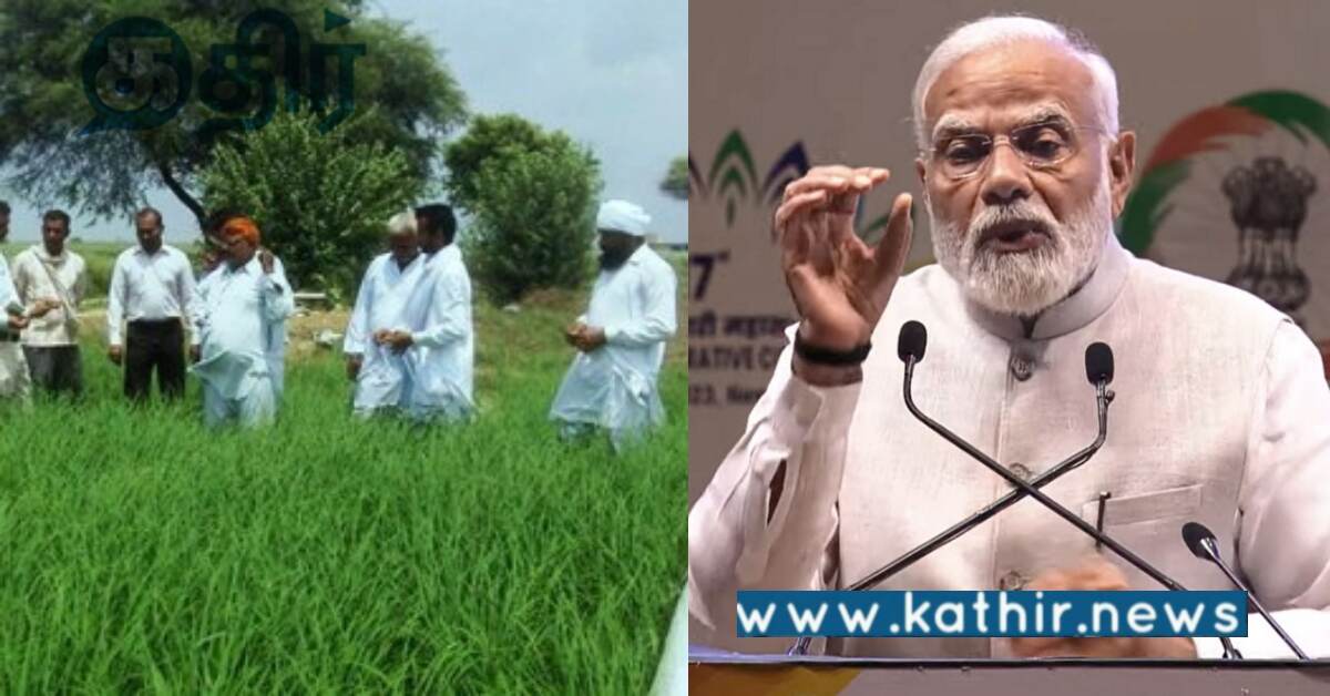 விவசாயிகளின் வருமானம் அதிகரிப்பு.. மோடி அரசு செய்த அற்புதம்..