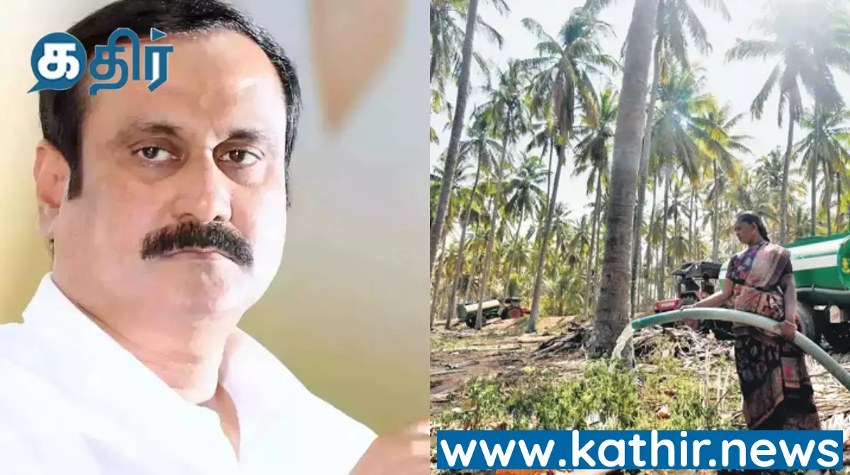 தென்னை விவசாயிகளை துயரத்தில் ஆழ்த்தும் தமிழக அரசு.. மரம் ஒன்றிற்கு ரூ.10,000 இழப்பீடு வழங்க வேண்டும் - அன்புமணி ராமதாஸ் கோரிக்கை..!
