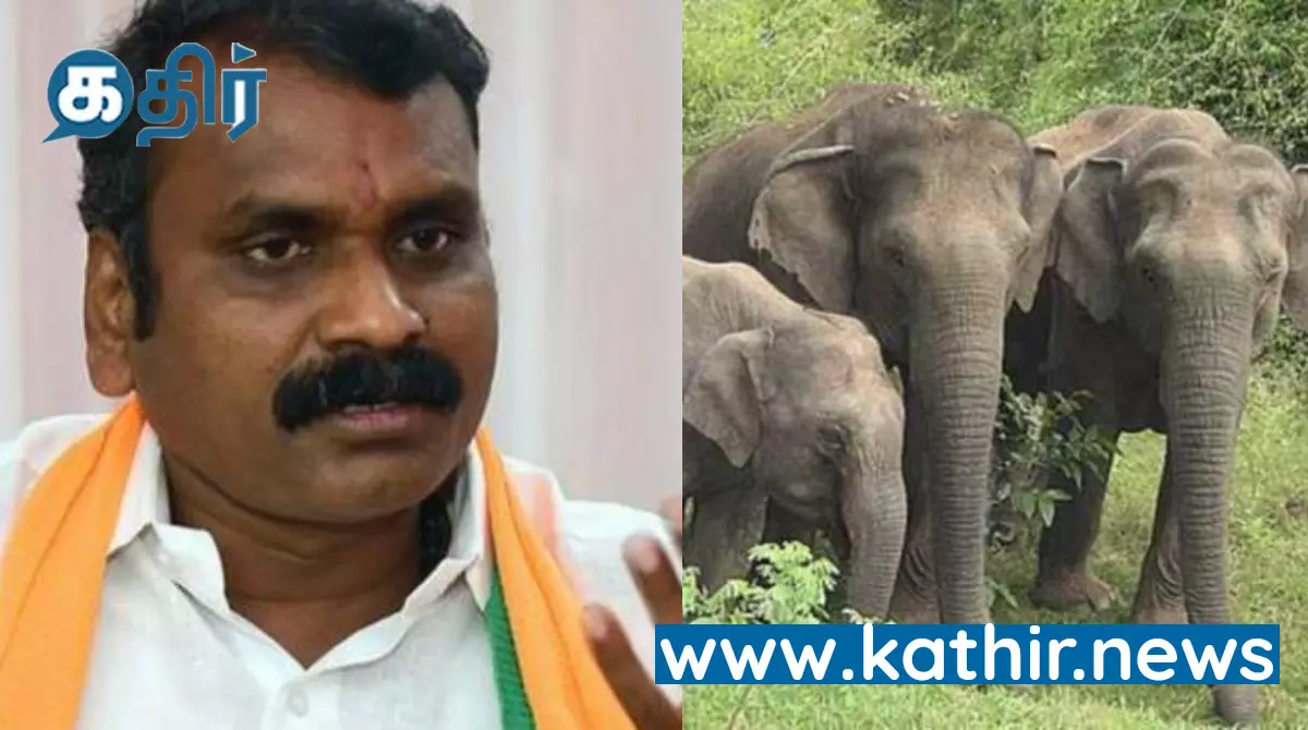 யானை வழித்தடம் என்ற பெயரில் வனம் அபகரிப்பா? - மத்திய அமைச்சர் முருகன் திமுக அரசுக்கு கண்டனம்!