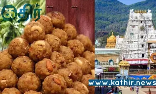 திருப்பதி லட்டு விலை, தரிசன கட்டணம் குறைக்கப்பட்டதா? பரவி வரும் தகவலின் உண்மை பின்னணி என்ன?