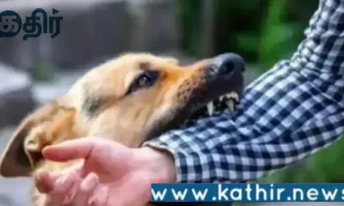 பெருகும் நாய் கடி தொல்லை...கண்டுகொள்ளுமா திராவிட அரசு! மக்கள் கோரிக்கை..!