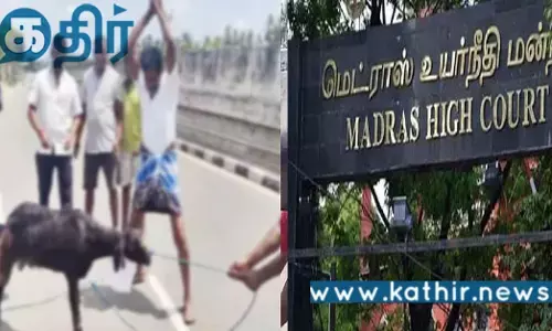 அண்ணாமலை போட்டோவுடன் நடுரோட்டில் ஆடு வெட்டி பலி.. தி.மு.க அரசுக்கு ஐகோர்ட் கண்டனம்..